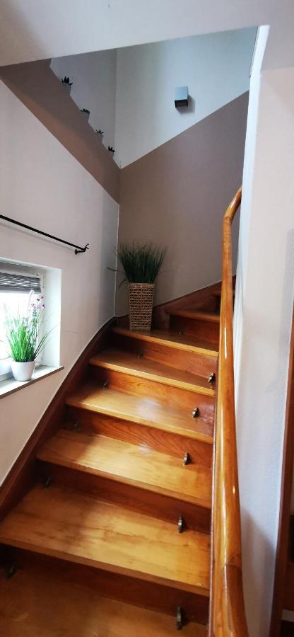 Ferienwohnung Palmenwald Freudenstadt Ngoại thất bức ảnh